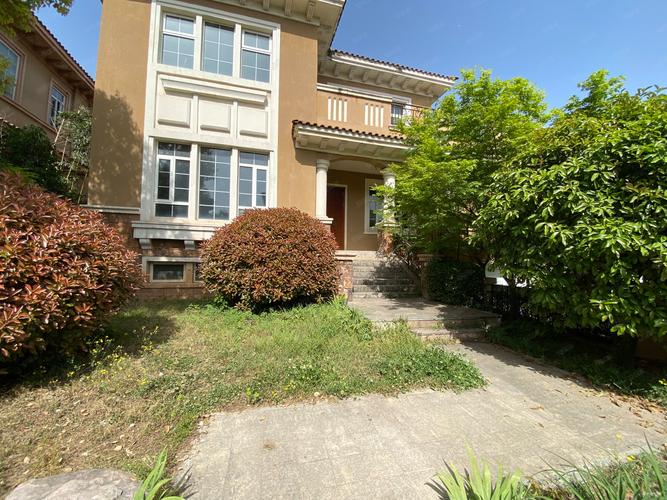 洛阳国宝花园别墅价格