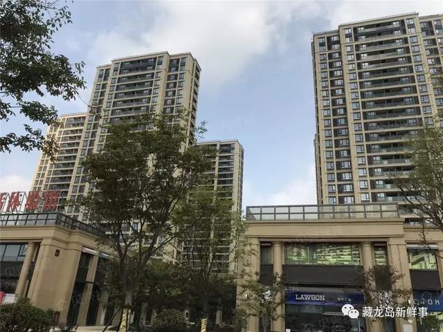 藏龙岛新开盘楼盘