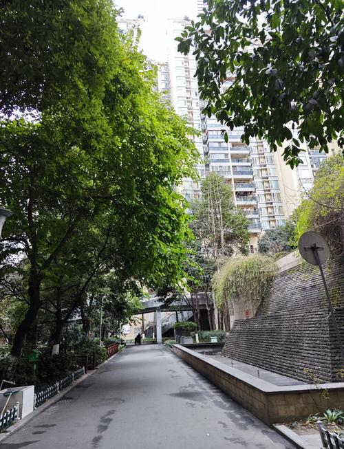 成都市青羊区新楼盘