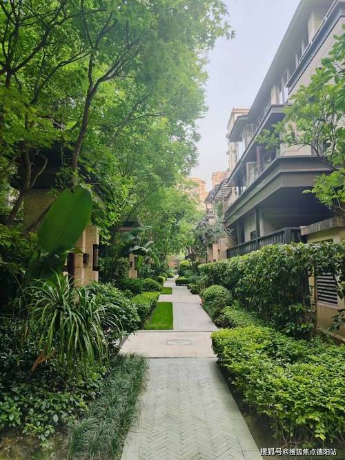 成都市青羊区新楼盘