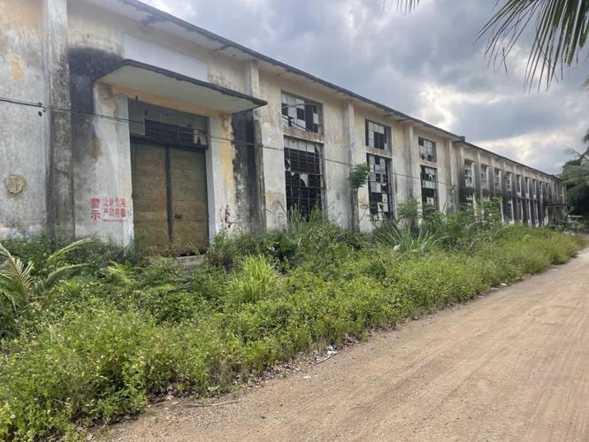 海南南林农场楼盘房价