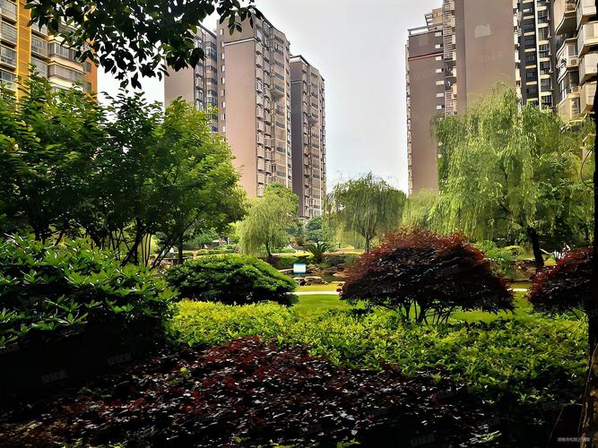 石家庄红树湾楼盘