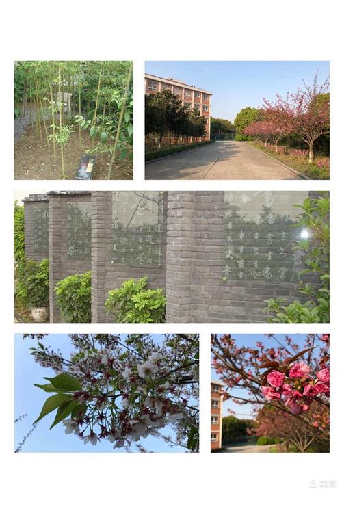 武进区花园小学网站