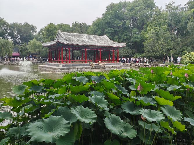 北京王府花园怎么样