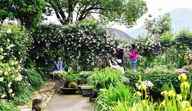 无锡多多花园地址