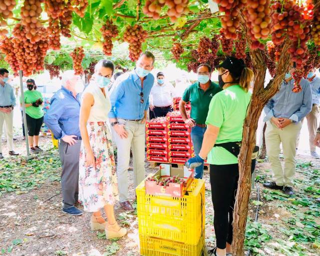 在穆尔西亚的花园讲解