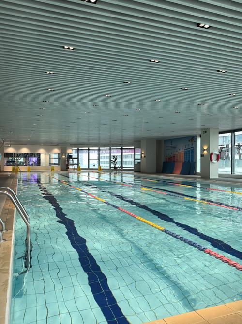 龙华365花园游泳池