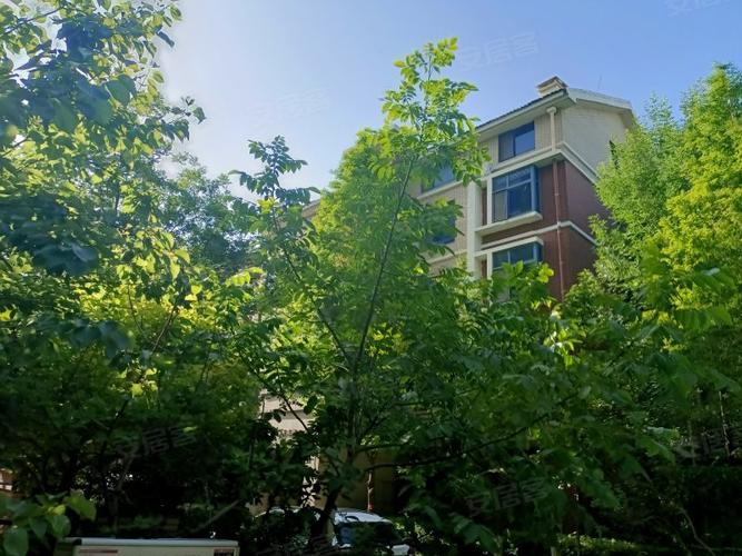 东营伟浩春天花园