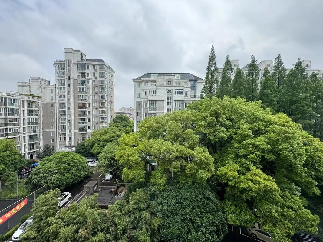 莘庄南广场新楼盘