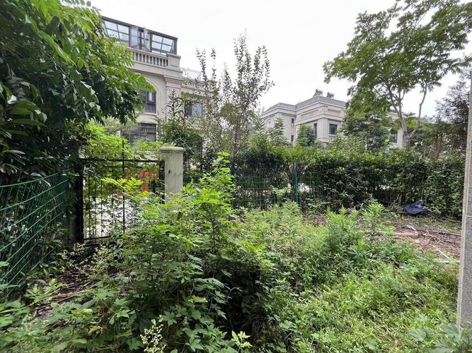 长春梧桐墅花园别墅