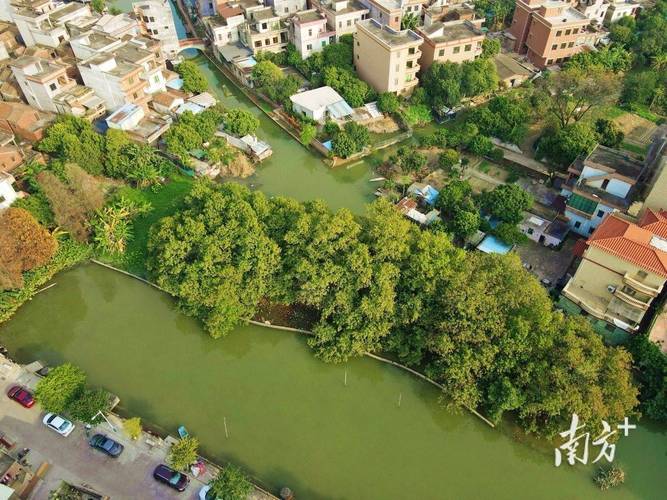 东莞望牛墩花园农庄