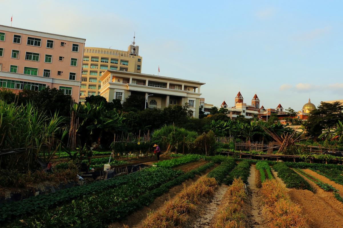东莞望牛墩花园农庄