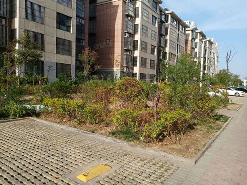 聊城市莲湖花园