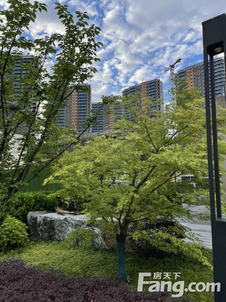 宜昌五家岗新楼盘