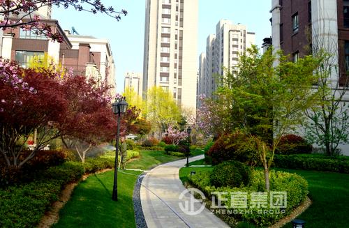 临沂正直花园怎么样