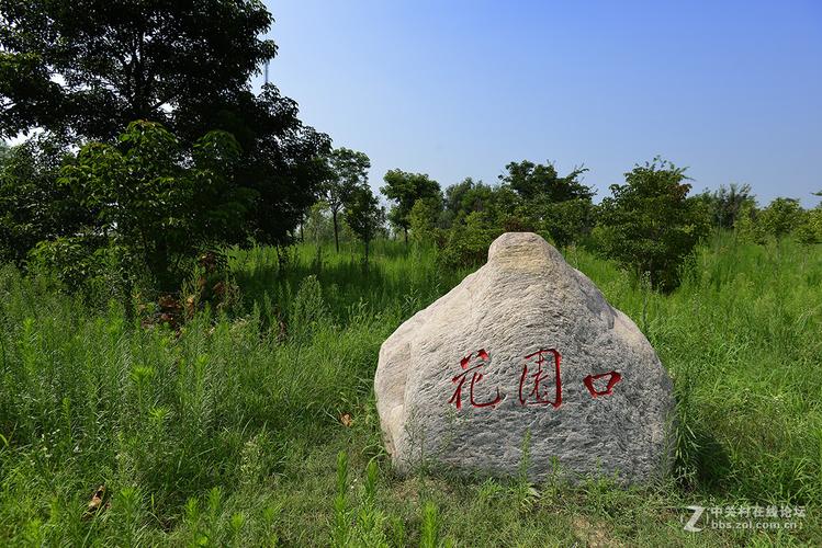 大连花园口论坛