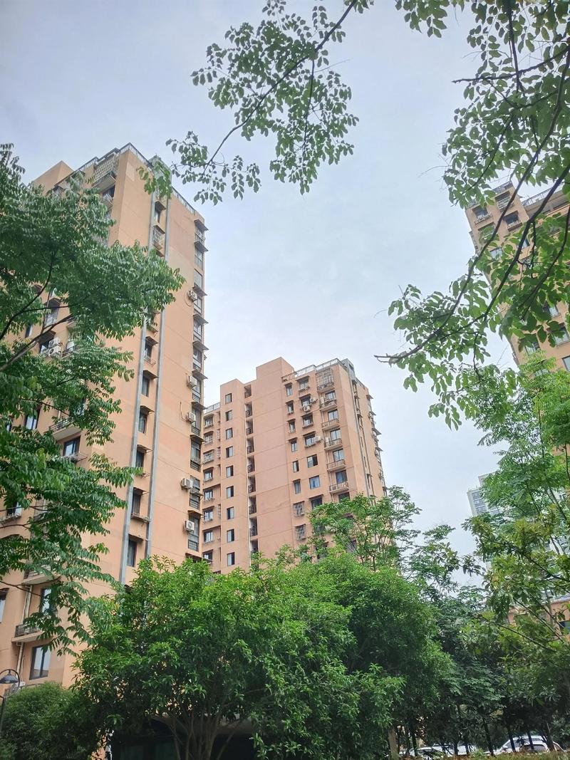 泰安市望山花园