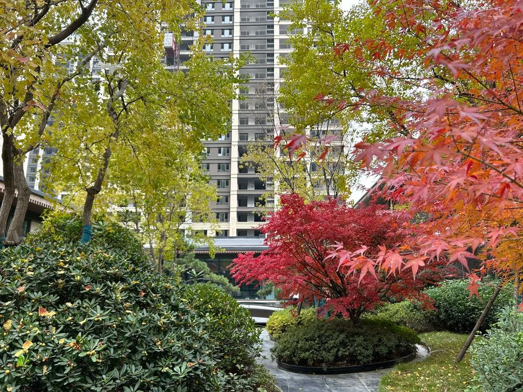 驻马店最新公寓楼盘