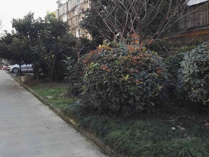 姜堰帝景蓝湾房价