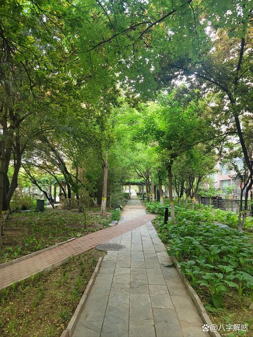 友谊大道柴林花园