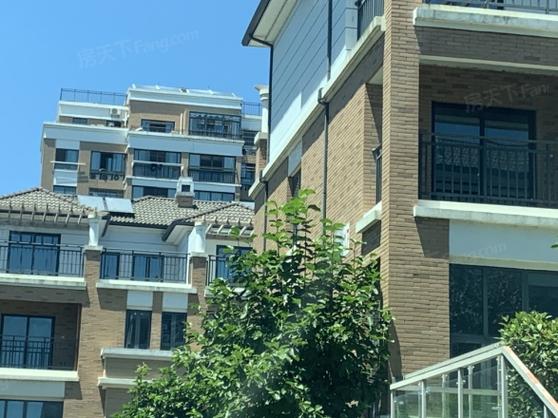 宁波滨海都市花园