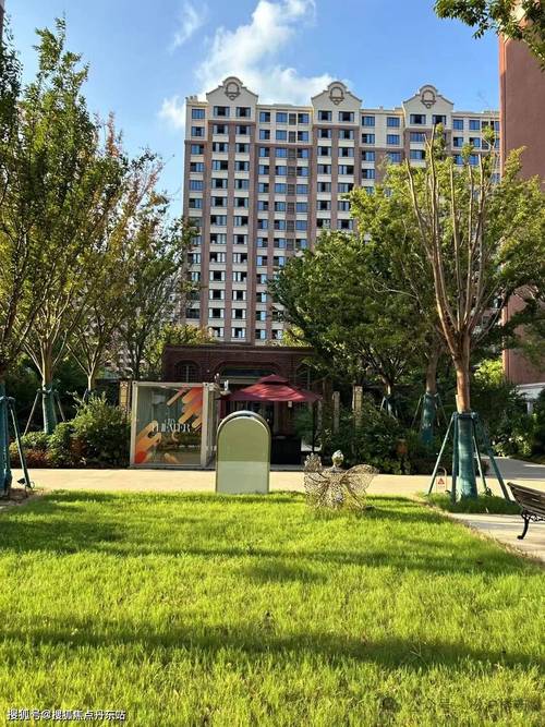 新乐准备开盘的新楼盘