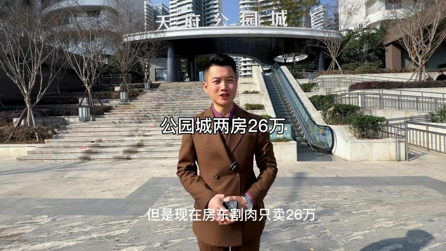 视高天府国际城楼盘