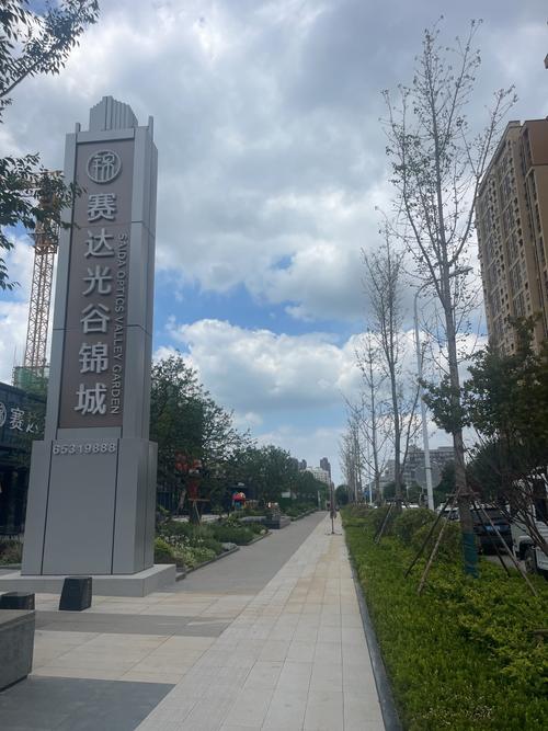 光谷哪个路段的楼盘好