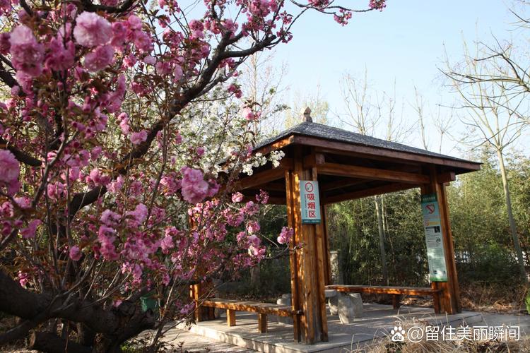 济南彩石文明花园