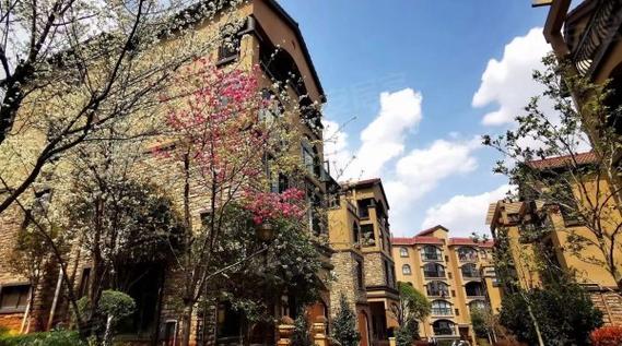 曲靖金科溪谷花园