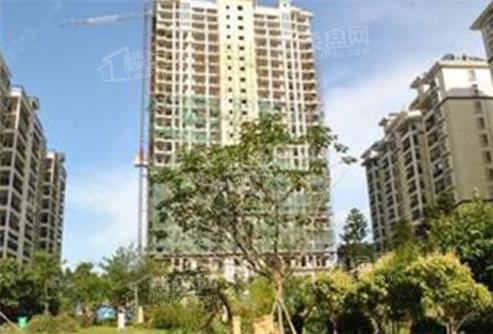 阜新新楼盘出售信息