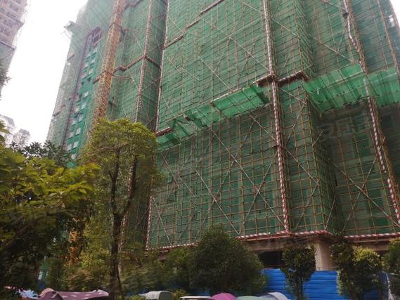 金堂鹭州城邦楼盘怎样