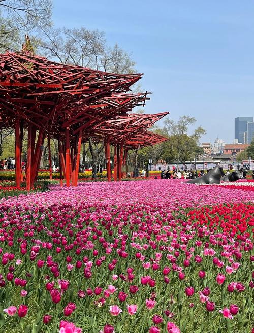 郁金香花园广场