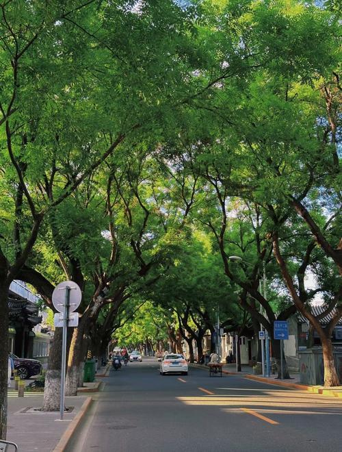 南池子大街房价