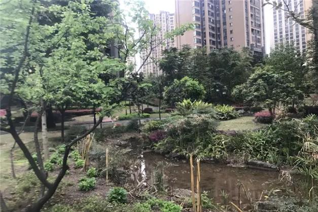 申佳上海时光查封楼盘