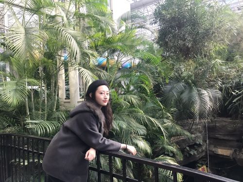 石家庄空中花园小姐