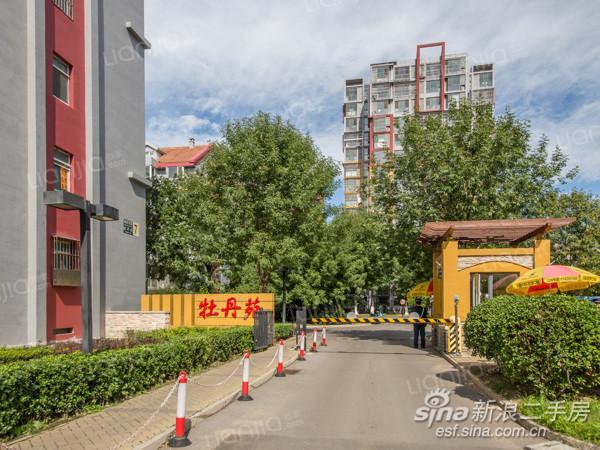 顺义前进花园牡丹苑