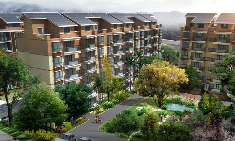 新科花园鸟语花香