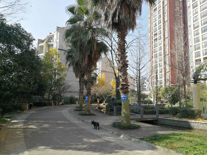 新添寨新阳光花园