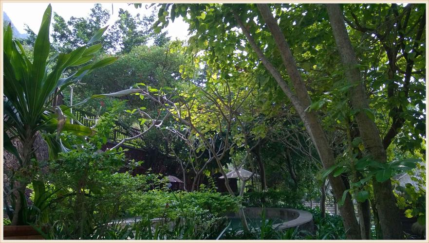 增城金实花园走势