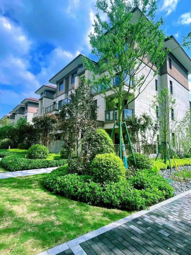 泸州城西楼盘有哪些