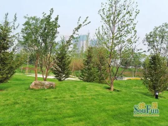 紫晶悦城楼盘详情