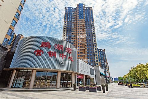 江夏纸坊销售最好楼盘