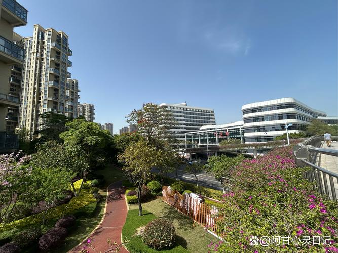 厦门湖边花园 陌陌