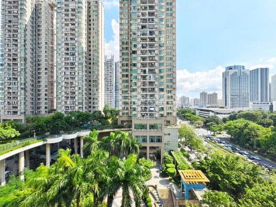 深圳东方雅苑房价