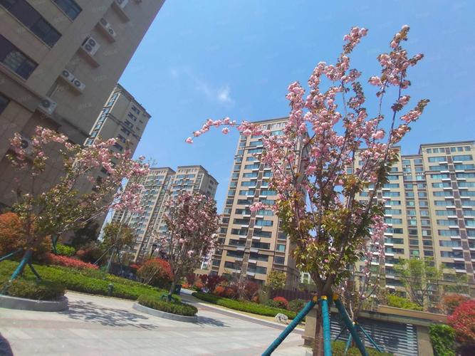 沂水史丹利景城花园