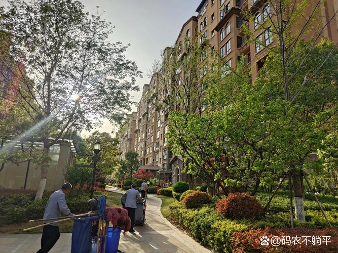 郑州龙子湖附近房价