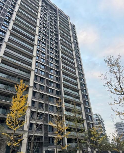 郑州龙子湖附近房价