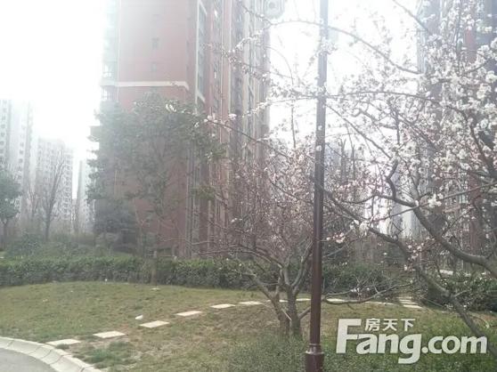 紫薇曲江意境房价