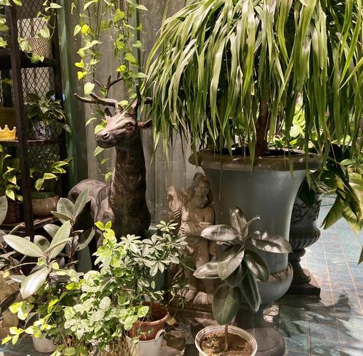 石家庄泰花园餐厅